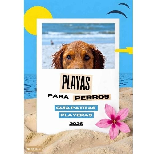Guía playas Patitas&co